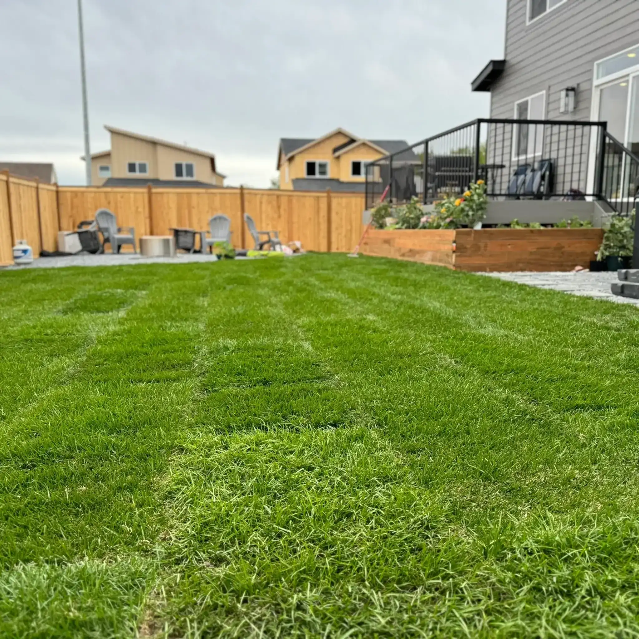 A finished residential landscape in Anchorage: new lawn enclosed by a cedar fence with a raised timber planter