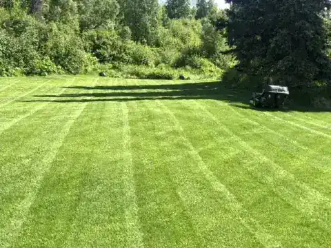Wide lawn mown in stripes with a mower parked at the tree line